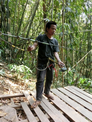 gibbon (13)